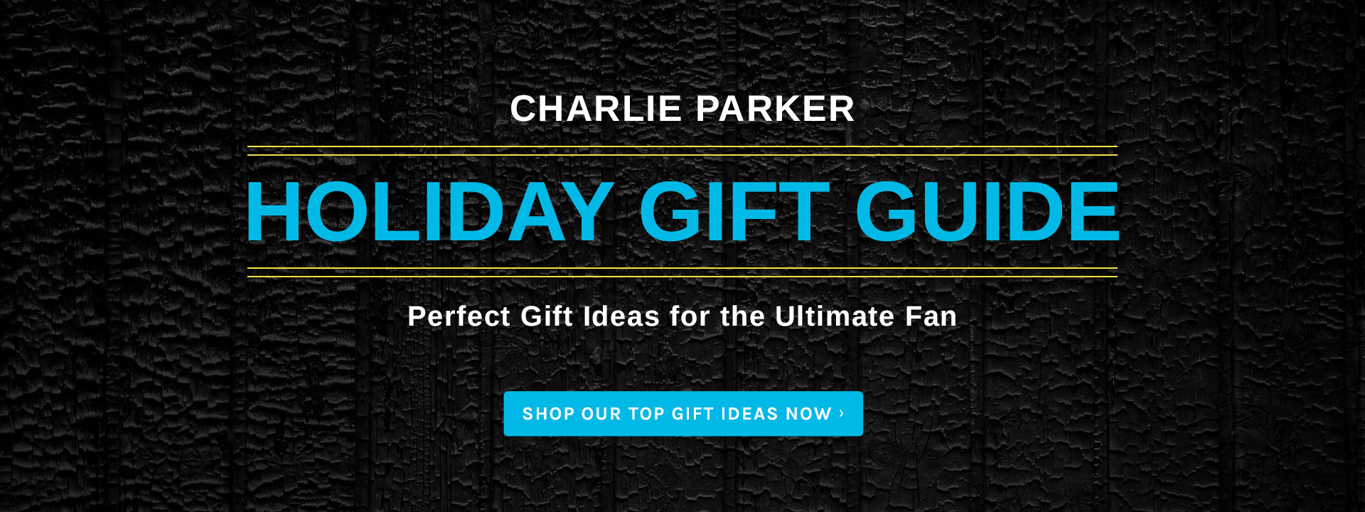 Check Out Our Holiday Gift Guide!